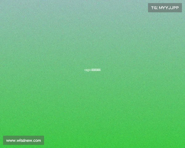 csgo 小鬼个人资料