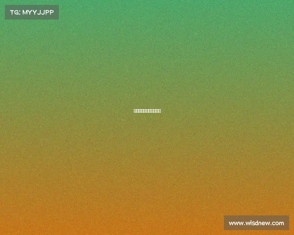 《炽烈交锋：电竞人生》