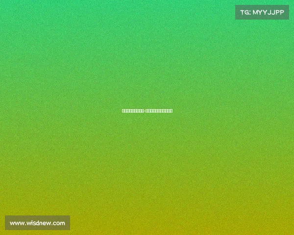 什么叫电子竞技格斗-什么叫电子竞技格斗游戏